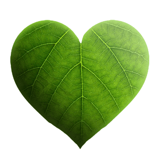 Misurazione del consumo di carburante e delle emissioni di CO2