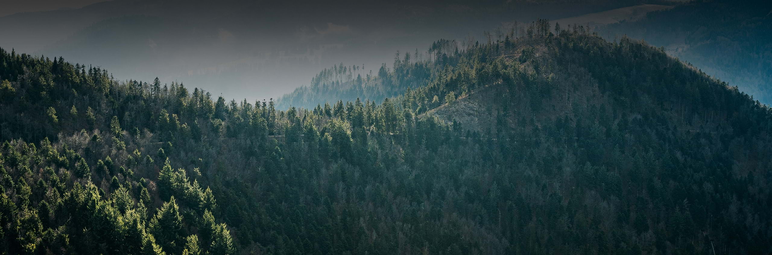 Ottimizza i tuoi consumi